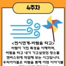 화가마을미술학원 이미지