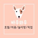 바우와우 애견샵 이미지