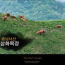사양목장 이미지
