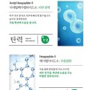 피부미인연구소