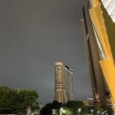 밀레니엄호텔 | 태국 방콕 5성급 호텔 밀레니엄 힐튼 방콕 투숙 조식 수영장 후기