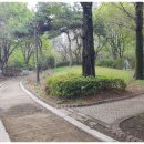 제33호공원 이미지