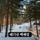 바이크탐방로 | 강원도 태기산 백패킹 동화 속 겨울왕국 (ft. 태기분교 &amp; 눈썰매)