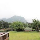 산방산의 품 네이버블로그