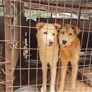 땅위의농장 이미지