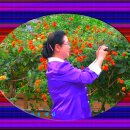 작품 95-3 이미지