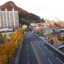 분성로 172번길 이미지