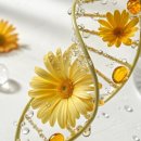 ㈜강화클린 이미지