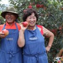 태봉농장1 이미지