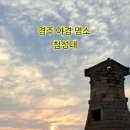 경주 첨성대 야경 명소, 6월 점등 시간과 꽃단지 산책 후기