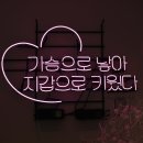 소풍애견호텔