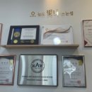 오늘도빛나는눈썹