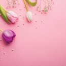 기분좋은허브이야기 이미지