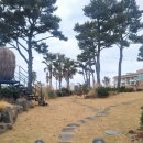 메누하 | 제주 애월 브런치 맛집 바다뷰에 심장 녹아버린 날 메누하 후기