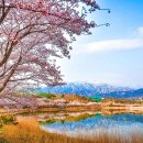 꽃피는산골2