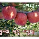 금바우골 이미지