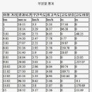 원조언양옛날곰탕 Daum카페