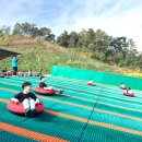 안성시사계절썰매장 이미지