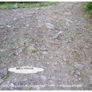 부근농장 이미지