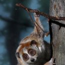 이목농장 이미지