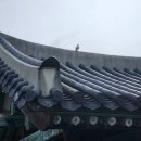 어처구니