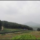 감골길앞 이미지