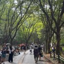 파크콘서트 | 10cm 단독콘서트 같았던♡ 2025파크콘서트 우중 관람 후기