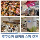 후쿠오카 쇼핑 추천 | 로피아 마트 / 세리아 / 다이소 / 한큐백화점 방문 후기