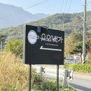 울산 울주 언양대리점 | 울산 울주군 언양 카페 유와백가 알프스 본점 후기｜수제 디저트, 브런치맛집