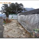 이순이농장 이미지