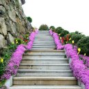 장안우체국 이미지