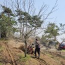 연향농장 이미지