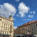 노을약국 | 맛집,지아자 화장품,지그문트 동상,앤디스 런더리 빨래,약국 화장품,리에그로비사디 노을맛집 공원 후기