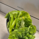 한빈농장 이미지