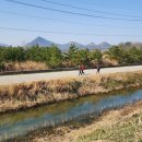 신동습지 이미지