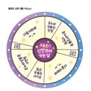 신안코아 이미지