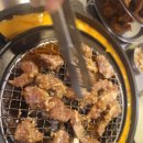 신마포갈매기고성점 이미지