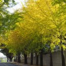 공주교도소부속의원 이미지