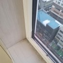 곰팡이 제거까지 싹 해주신 의정부 입주청소 민스클린
