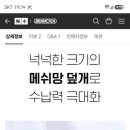 브랑키아