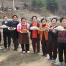 도사산촌마을 이미지