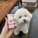 모코시