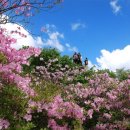 평택삼성요양병원 이미지