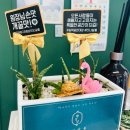 봉곡유치원 | 티나살롱-언제나 또렷한 인형 눈매 전주 속눈썹펌