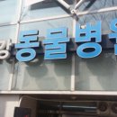 울산착한동물병원 이미지