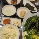 싱싱장어 이미지