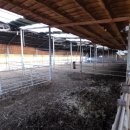 겟공인중개사사무소 이미지