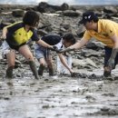 무안황토갯벌랜드 전시실 이미지