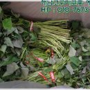 황금누리농장 이미지