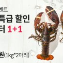 초신선마켓